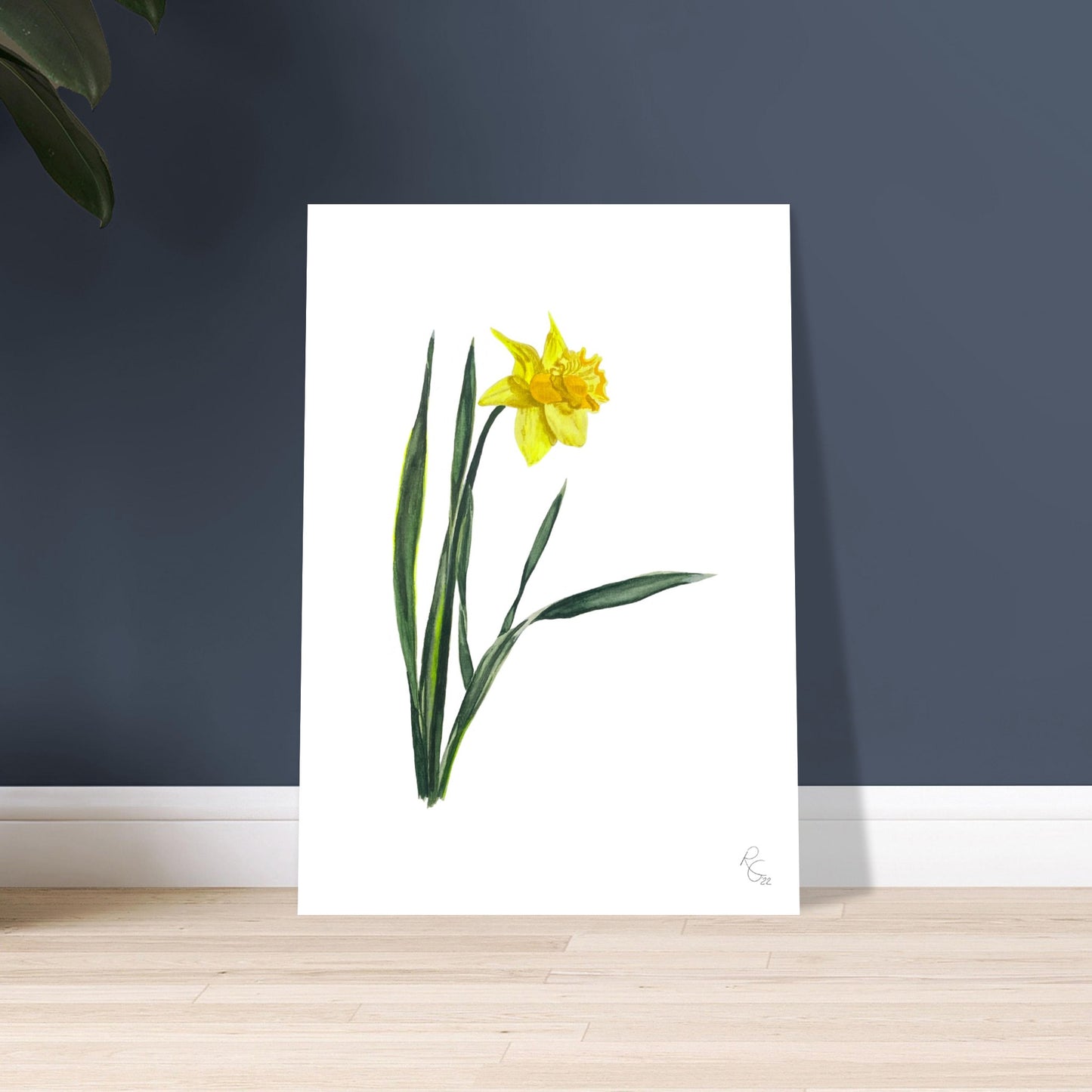 DAFFODIL