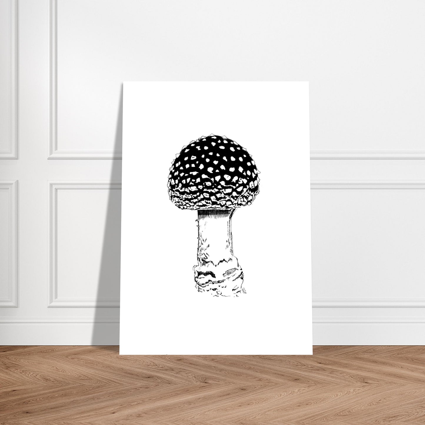 SHROOM 2/6